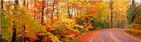 6 Tips for Fall Running